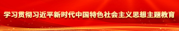 小骚逼被大肉棒操视频学习贯彻习近平新时代中国特色社会主义思想主题教育